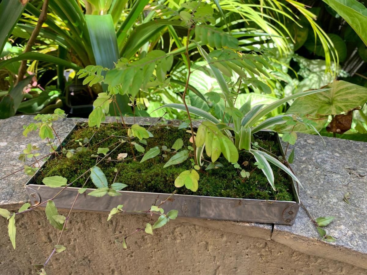 Villa Paraiso Sao Paulo Bagian luar foto